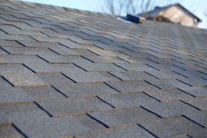 Everything You Need to Know About Eco-Friendly Roofs