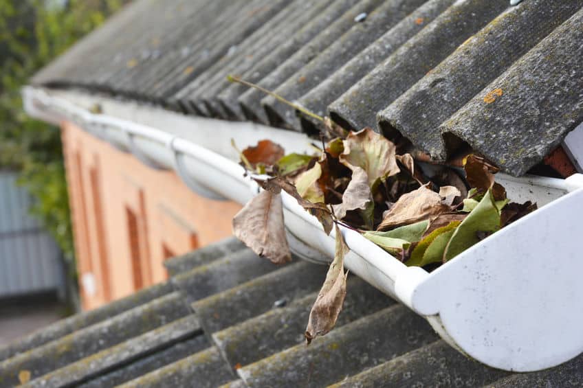 Picture of leaves in rain gutters.