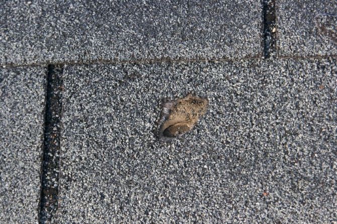 Sign of hail damage to your roof.