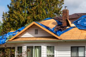 Maple Grove Storm Damage Repair and Restoration Contractors