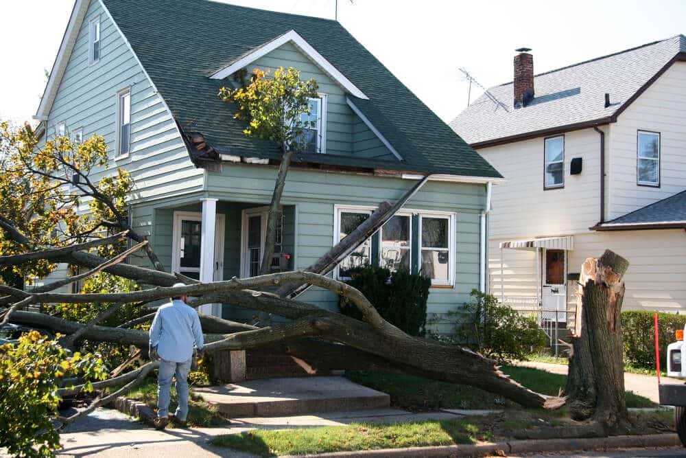 roof damage from a storm?