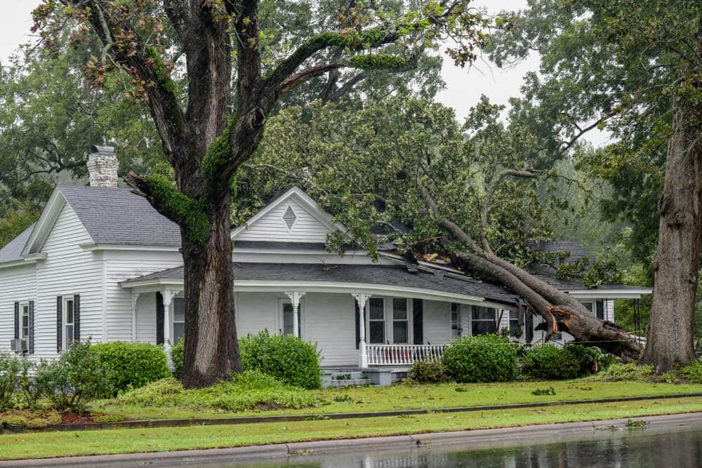 Storm Damage Repair and Restoration Contractors