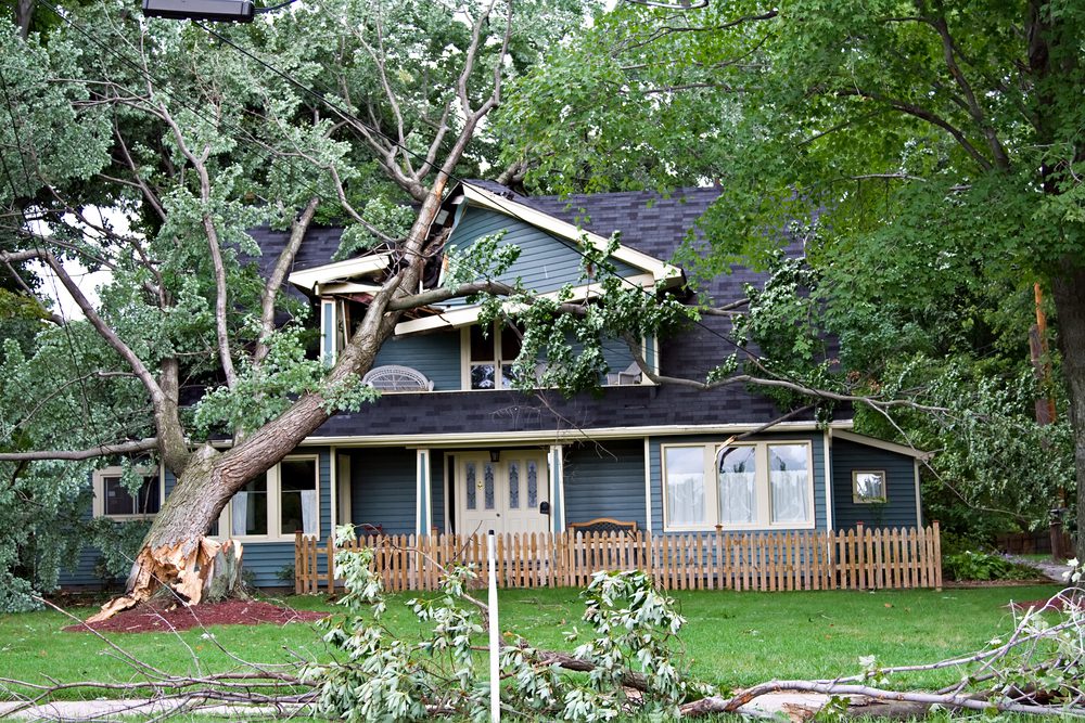 Storm Damage Repair and Restoration Contractor near Rogers, mn
