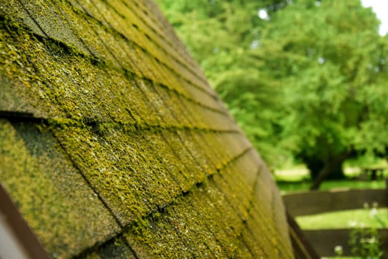 How to Remove Moss From Roof Shingles Perfect Exteriors