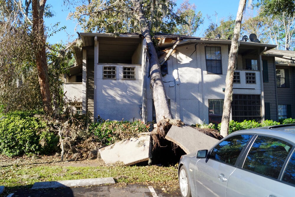 roseville wind damage