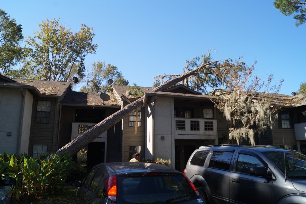 Rosemount Storm Damage Roof Inspections