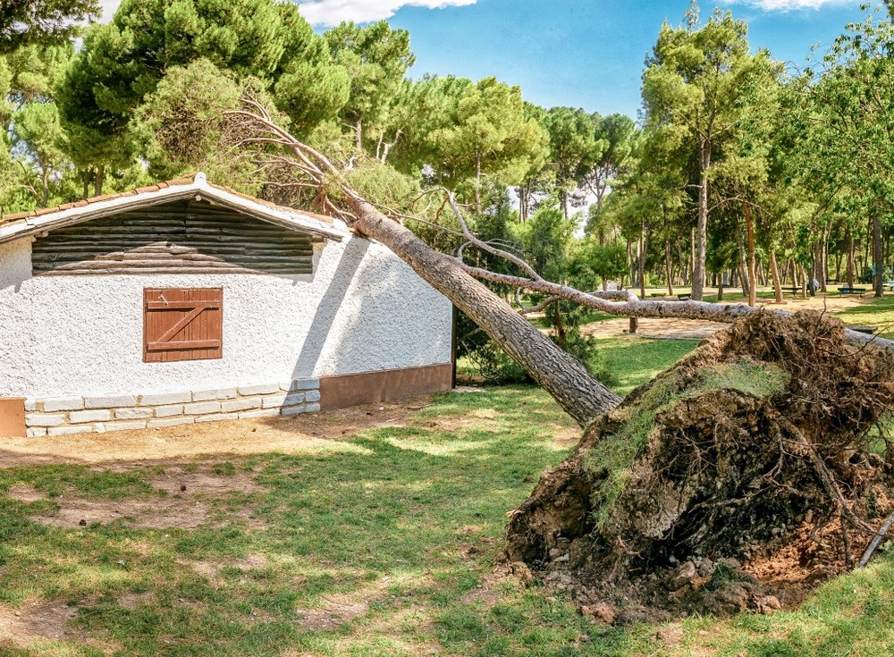 Robbinsdale Storm Damage Roof Inspections