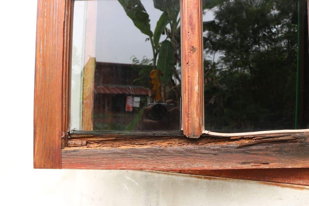bloomington window damage