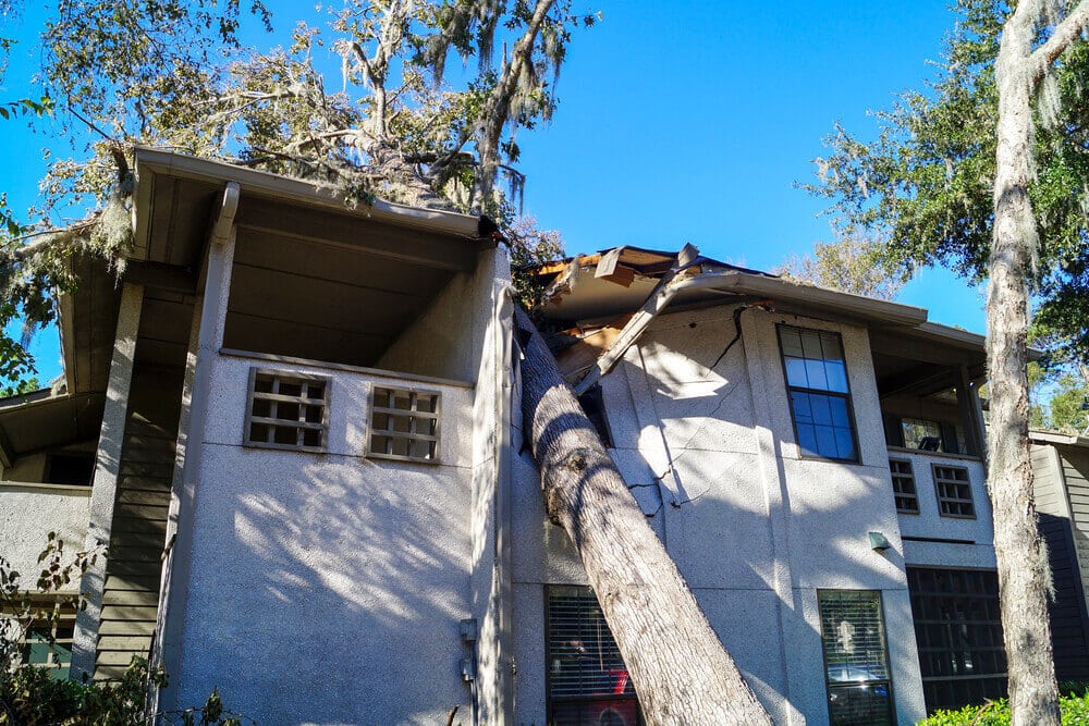 eagan wind damage