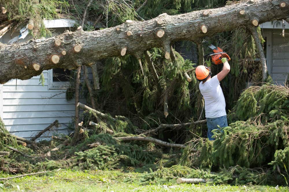 eagan storm damage insurance