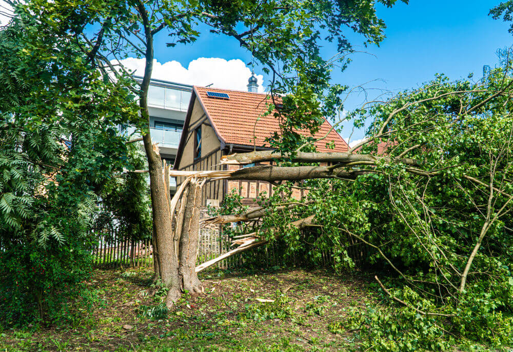 Your Storm Damage Repair and Restoration Professionals in Eagan