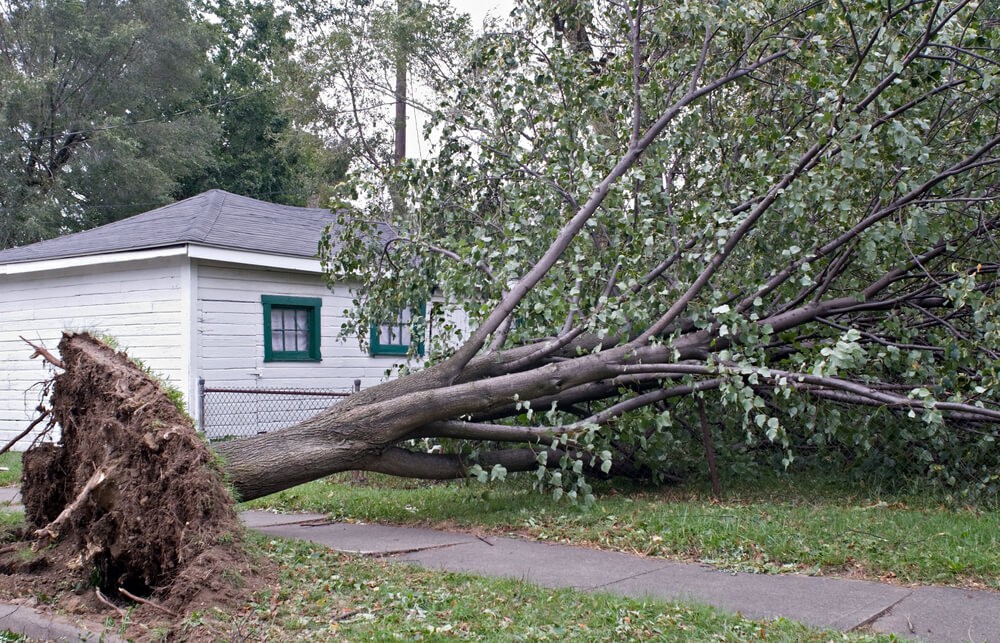 richfield damage inspection