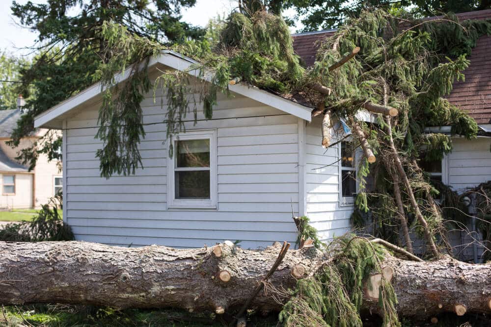 rosemount storm damage services