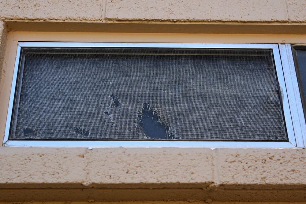 woodbury storm damage windows