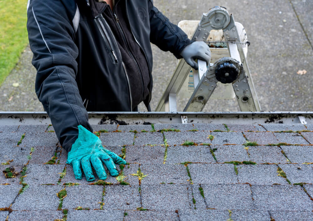 free roof inspection robbinsdale