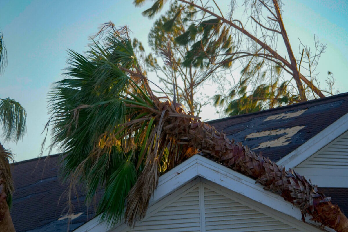 roof suffers storm damage