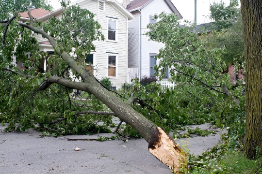 Window Damaged by Storm